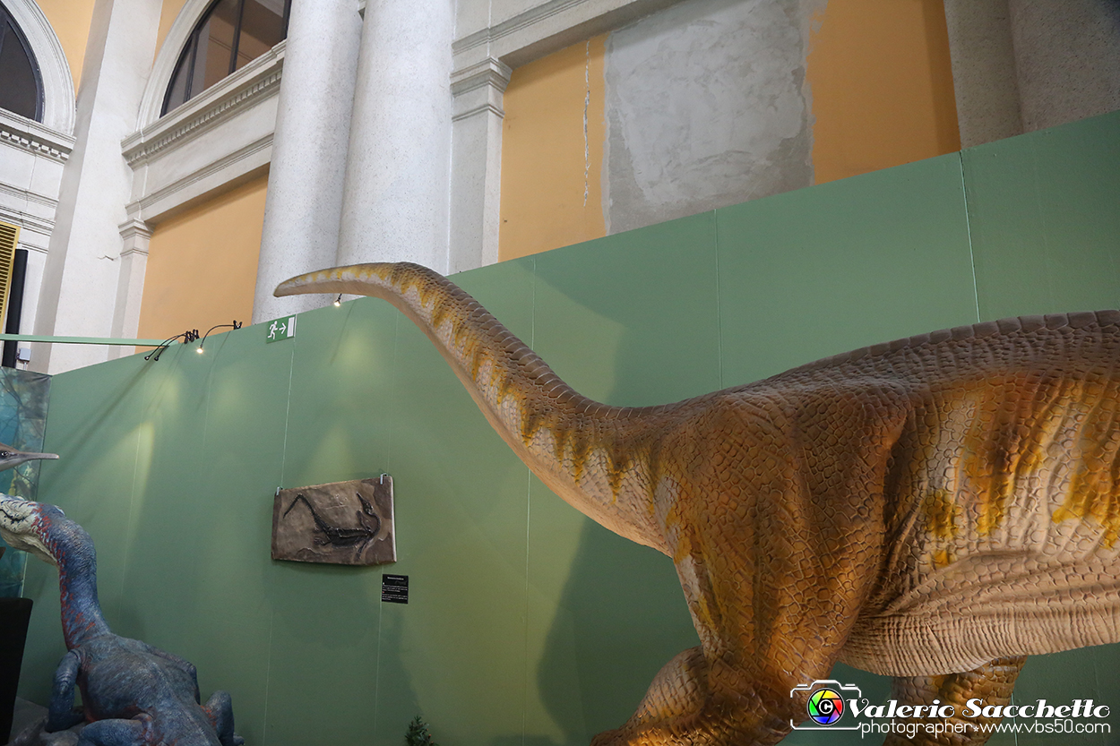 VBS_0937 - Dinosauri. Terra dei giganti.jpg